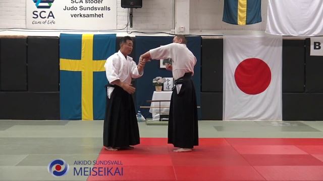 1 Aikido Ai Hanmi Ikkyo Omote High Positionm Shishiya Sensei Sundsvall 2016