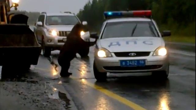 Мишка на трассе смотреть онлайн