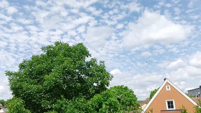 Ольга Валерьевна. Морально - устойчивое давление.  08 02 2024 ОВ (Eng/Germ- Subtitles)