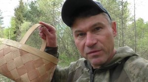 Встал рано утром и ушёл в лес по грибы! И не зря!