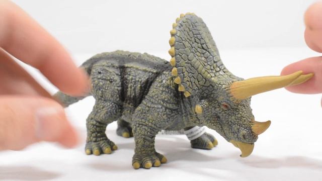 CollectA Triceratops Figure Review | CollectA Dinosaurs