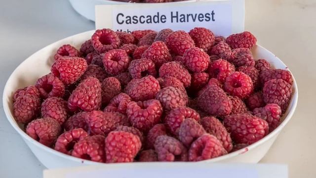EMCO CAL - Cascade Harvest Raspberry Variety смотреть онлайн