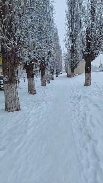 снег идёт, играем снежки.