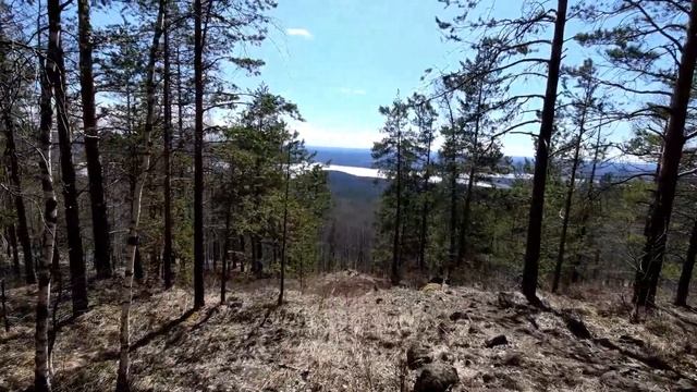 Заброшенная штольня в лесу. Спасаемся от медведя. Отморозили ноги в апреле! #vanlifeурал