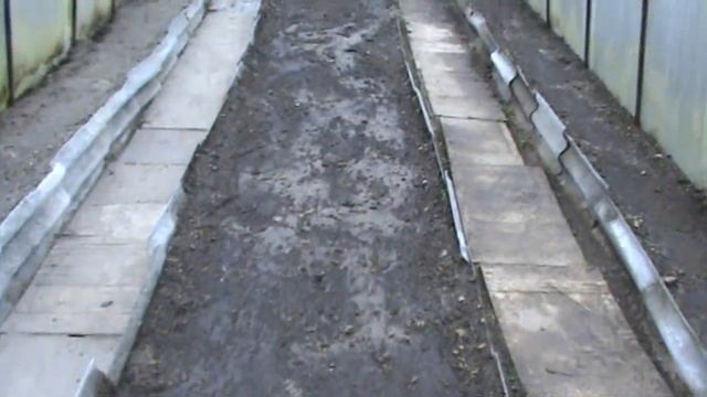 Редис в январе смотреть онлайн