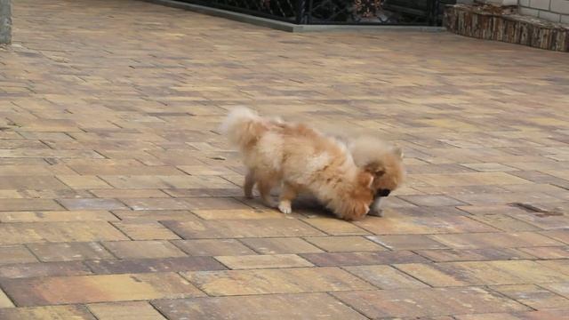 Мальвина смотреть онлайн