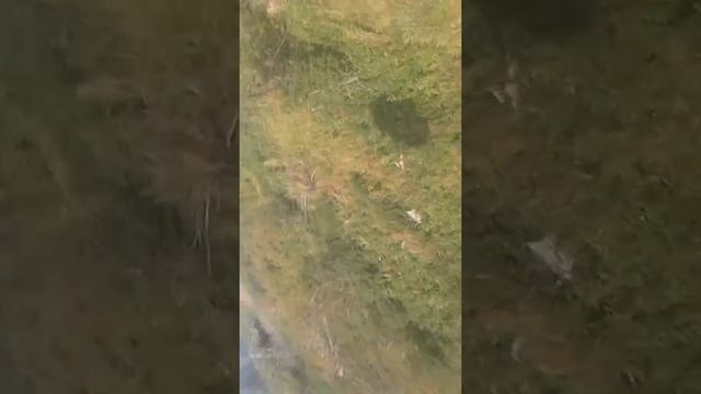 "Канатная дорога" в Алмате ... Это Круто Офигеть! смотреть онлайн