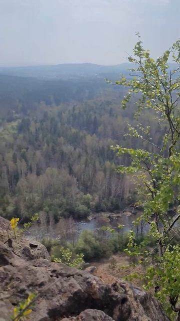 Урал. На вершине горы медведь камень. #shorts