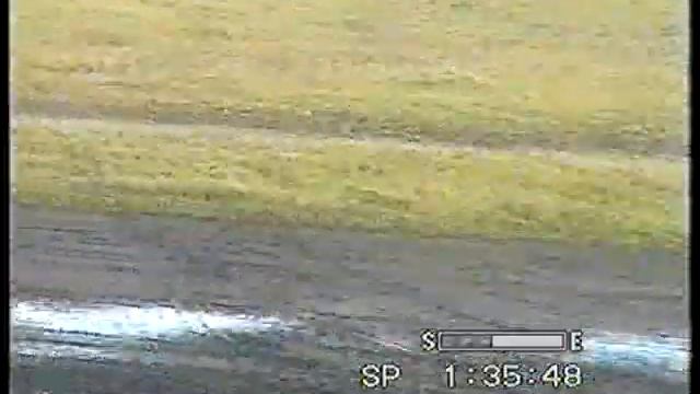 Ирбит 2004 - 2 лет рыс. пор. смотреть онлайн