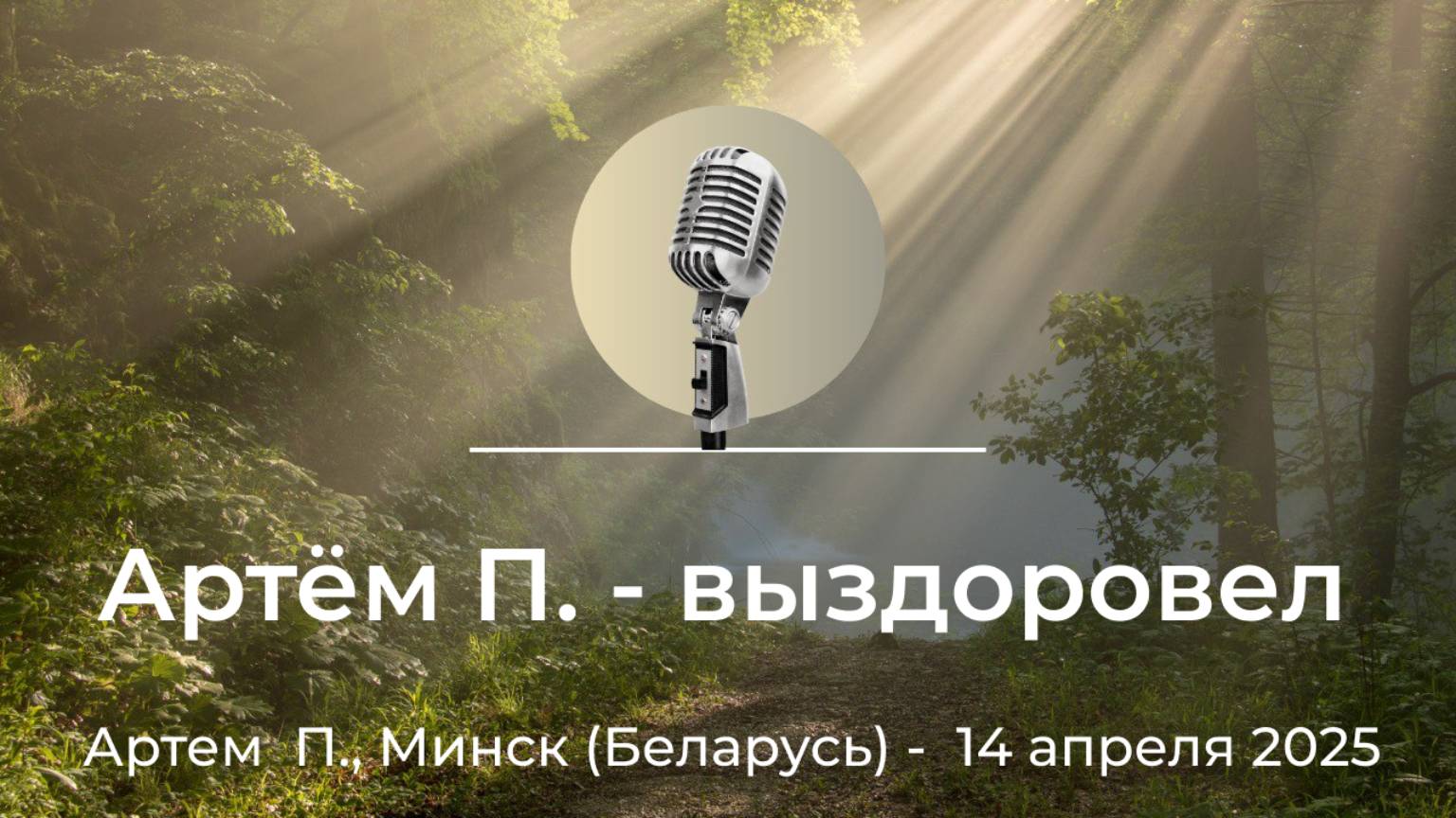 Спикерская АНЗ "Мой опыт выздоровления" Артем П., Минск (Беларусь), 14 апреля 2025 года смотреть онлайн