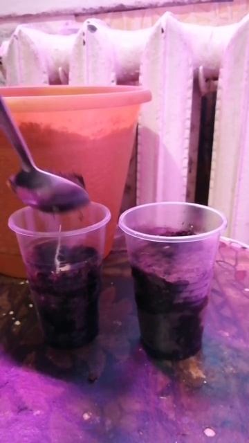 Юля из дома