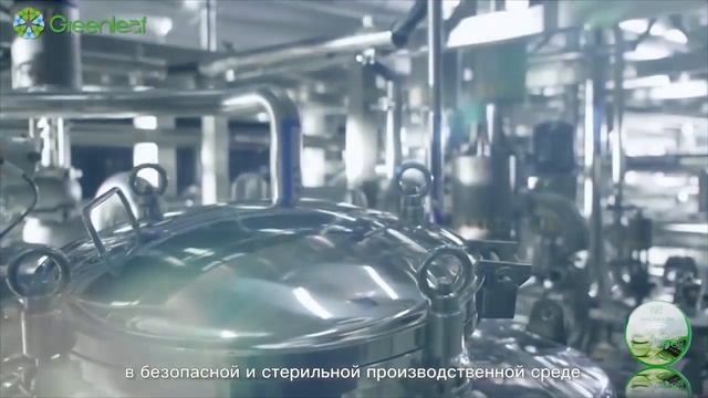 ILiFE Восстановливающий Гель Алоэ（50 г）