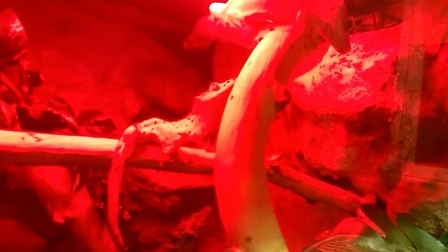 Powiedziałam nie... смотреть онлайн