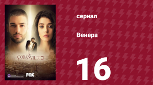 Венера 16 серия (сериал, 2017)