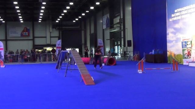 A-Open Рюмина Оксана Немецкий малый шпиц ЛАККИ смотреть онлайн