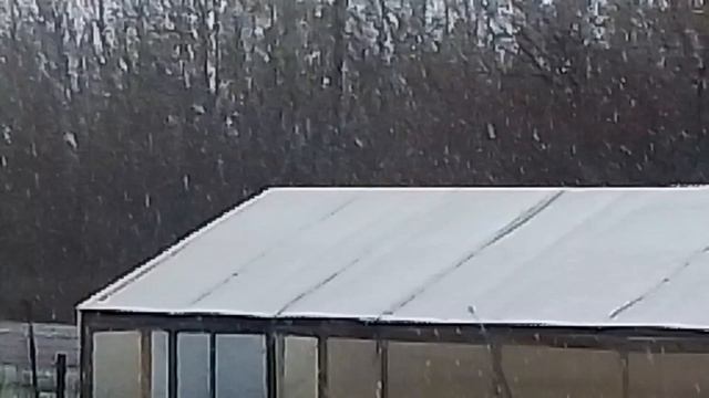 Г. Ртищево.mp4