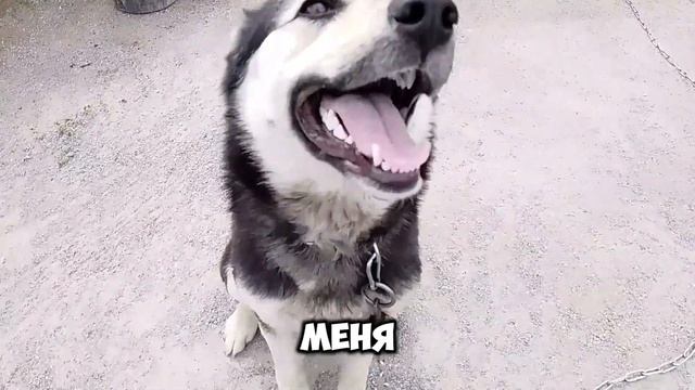 МЕНЯ ЗОВУТ ДИНА!