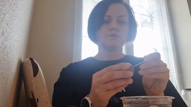 Как прорастить авокадо 🥑 из семечки. Дата 28 февраля 2022 года смотреть онлайн