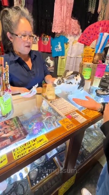 Big Fails 🤣🤣 #shorts #funny #fails смотреть онлайн