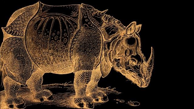 Irinel Anghel (*1969): Rhinoceros (1997) смотреть онлайн