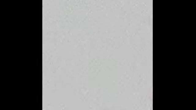 два дурня в черноруссии