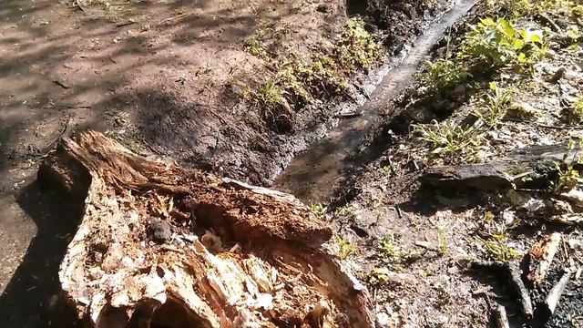 Vorozhba, Sumy Region, Ukraine