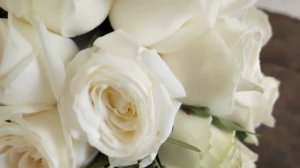 Белые розы. Михаил Шуфутинский.