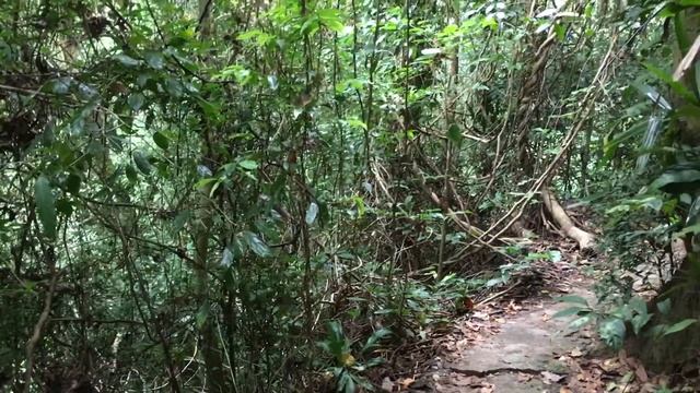 Пхукет, Кату смотреть онлайн