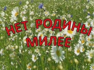 НЕТ РОДИНЫ МИЛЕЕ  (КАРАОКЕ  ПЛЮС)