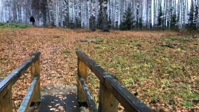 В священных марийских рощах смотреть онлайн