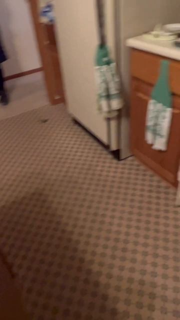 Скоро новое #видео Распродажа имущества 😊 #посуда #фарфор #находки #находка #секондхенд #сша смотреть онлайн