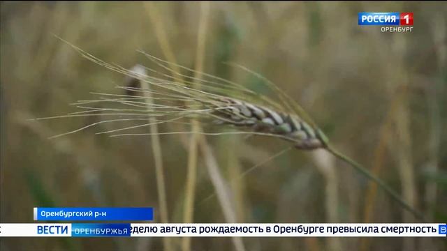 Выпуск от 6 августа 2024 года