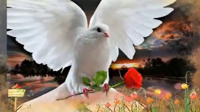 Жанна Хадикова