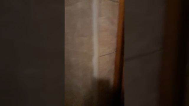 Сауна коктобе 2 смотреть онлайн