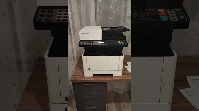2540.mp4 смотреть онлайн
