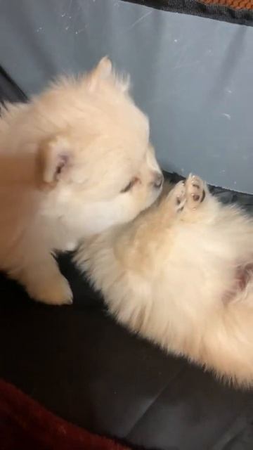 Наидобрейшего Вам утречка!😍