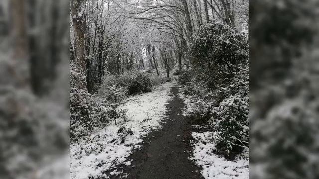 В Сочи снег