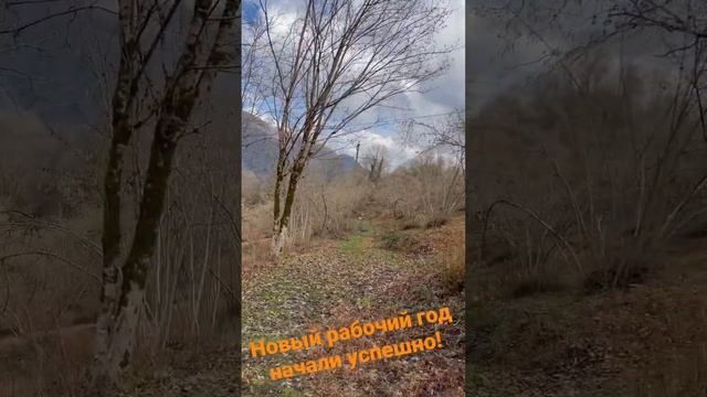 Мы начали свой рабочий год уже сегодня! смотреть онлайн