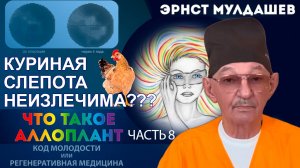 Что такое Аллоплант? Часть 8. Мы лечим "куриную слепоту".