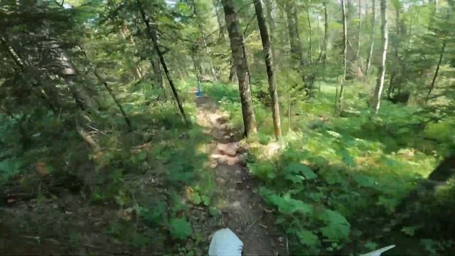 Бурелом 2024 Хард эндуро второй день, лес. Бронза на Husqvarna 300 2t