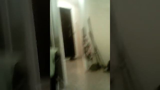 27 июля 2016 г. смотреть онлайн