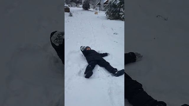 Ленинградская область смотреть онлайн