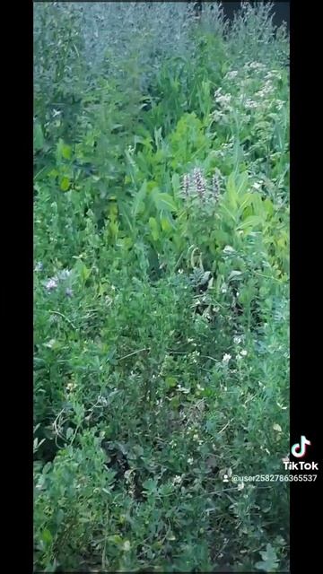 8 июля 2021 г. смотреть онлайн