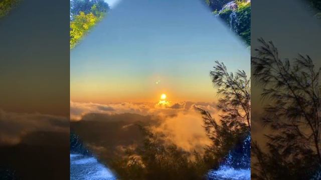 Обзор на канал Наша жизнь в Германии: это надо так гульнуть,  чтобы в Голландии оказаться, )))