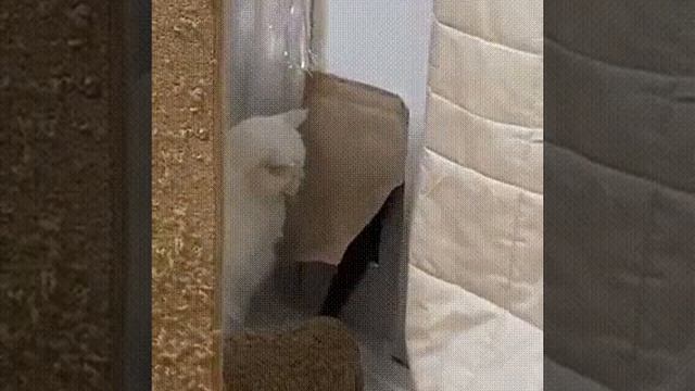 МУЖЕНЕК вернулся с ночной работы....!