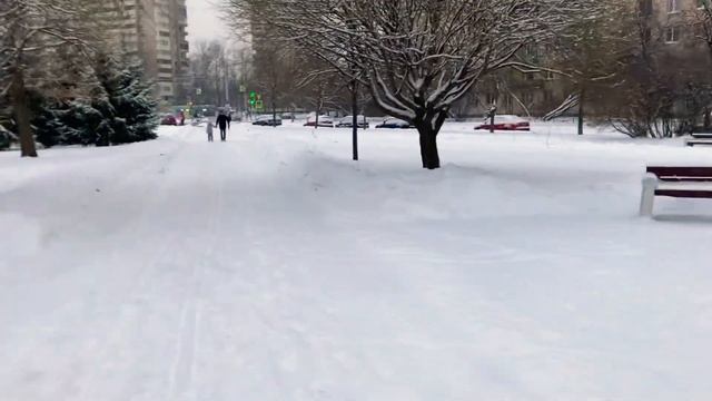 Вот такая прекрасная утренняя прогулка летит снежок кружится 15.12.-6 елочки в снегу