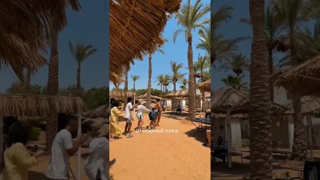 Iberotel Palace only adults 16+ Шарм-эль-Шейх #библиоглобусегипет #египет #отель #обзоротеля смотреть онлайн
