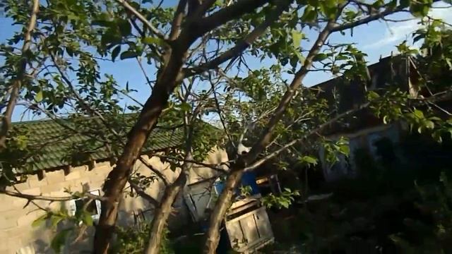 Караул!!Эта тварь всё сожрёт!! #мансурвдеревне#гусеницы смотреть онлайн