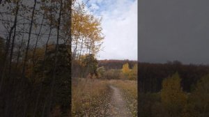 Санаторий "Узкое"