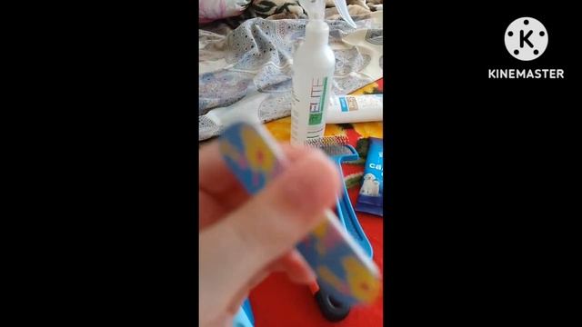 что нужно померанскаму шпицу смотреть онлайн